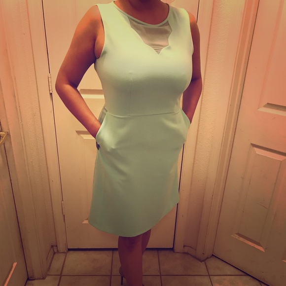 The Limited Dresses & Skirts - The Limited mint colored, knee length dress